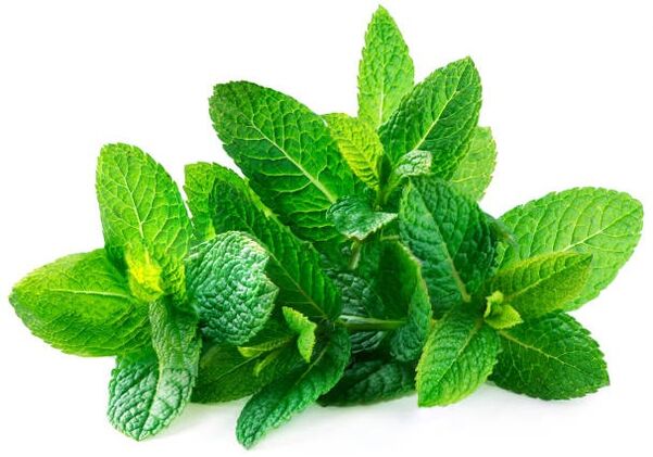 Hondrolife contains peppermint essential oil